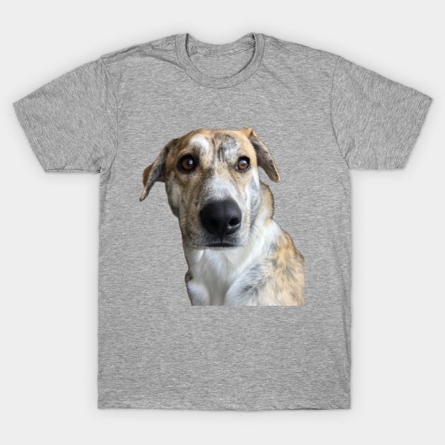 Paulas Dog T-Shirt by BluesFish